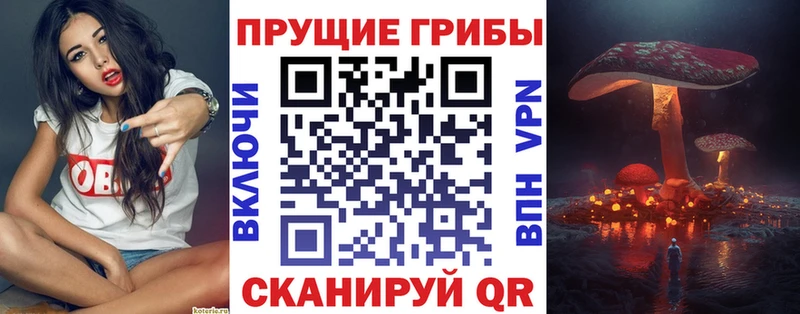 где найти наркотики  даркнет наркотические препараты  Галлюциногенные грибы GOLDEN TEACHER  Городище 